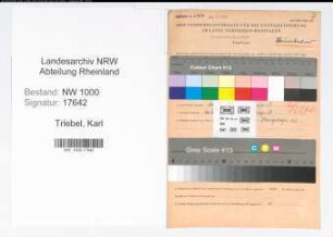 Entnazifizierung Karl Triebel, geb. 04.07.1913 ()