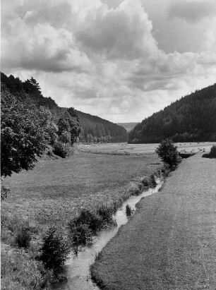 Landschaft in der Pfalz
