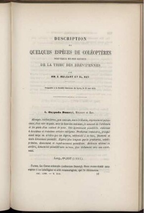Description De Quelques Espèces De Coléoptères Nouveaux Ou Peu Connus De La Tribu Des Brévipennes