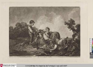 The Favourite Lamb