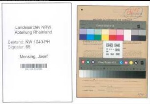 Entnazifizierung Josef Mensing , geb. 19.03.1912 (Fleischbeschauer)