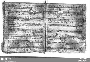 Loth, Urban: Tres sunt qui testimonium dant in caelo