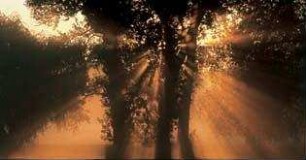 Faszination Natur - Seven Seasons