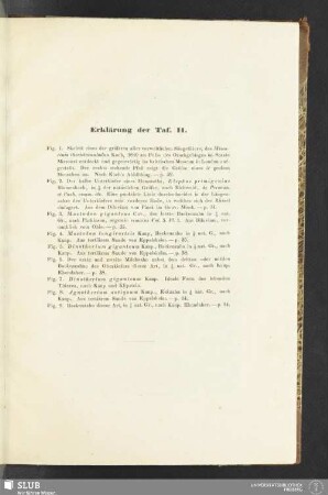 Erklärung der Taf. II