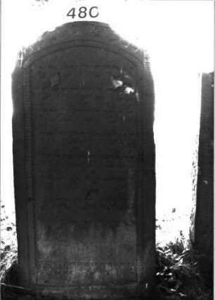 Grabstein 480
