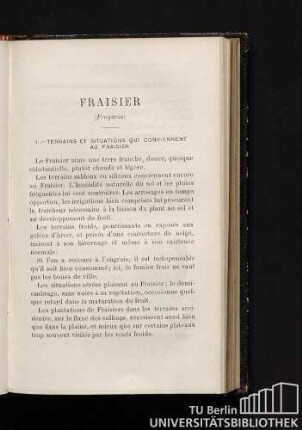 Fraisier (Fragaria)