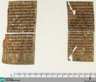 Fragment - Cod. Aug. Fr. 10