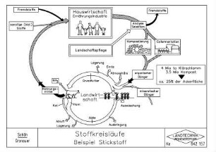 Stoffkreisläufe Beispiel Stickstoff
