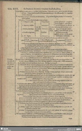 Tab. XXIX. De Prudentia & caeteris virtutibus Intellectualibus