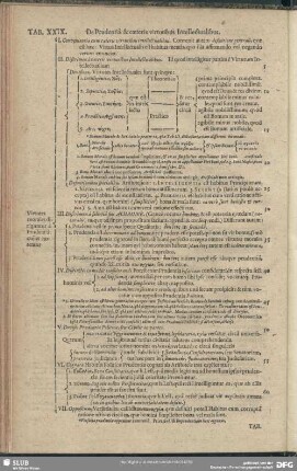 Tab. XXIX. De Prudentia & caeteris virtutibus Intellectualibus