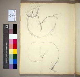 Arm- und Beinstudie