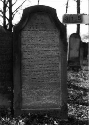 Grabstein 315 (Index: 100115847) Material: Sandstein Zustand: verwittert mit Textverlust Maße HxBxT: 147x68x17 cm Beschreibung: Stele mit konkav eingezogenem Segmentbogenabschluß, eingetieftes Schriftfeld: Grabstein 315