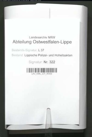 Vertreibung der Zigeuner