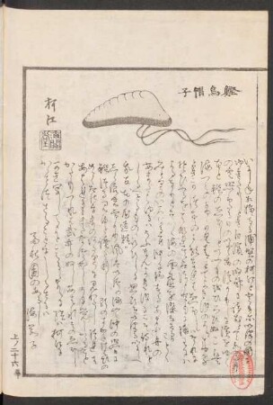 [本文]