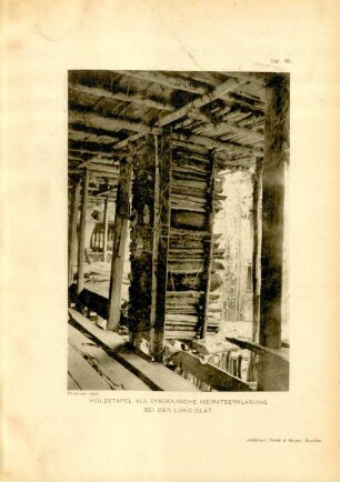 Taf. 68. Holzstapel als symbolische Heiratserklärung bei den Long-Glat