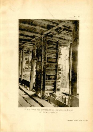 Taf. 68. Holzstapel als symbolische Heiratserklärung bei den Long-Glat