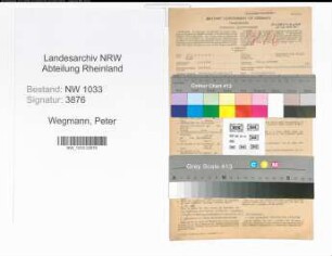 Entnazifizierung Peter Wegmann , geb. 05.04.1894 (Polizeimeister)