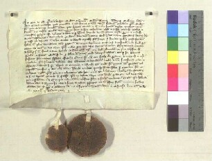 Propst Otto und das Kolleg von Stift Herrenchiemsee schließen mit Propst Friedrich und dem Konvent von St. Zeno eine Gebetsverbrüderung;. S1: Propst Otto v. Herrenchiemsee, S2: Kapitel Herrenchiemsee