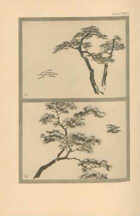 Plate XXXV