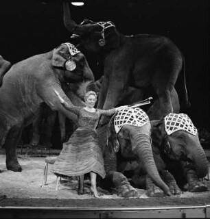 Gastspiel des Zirkus "Krone" in Karlsruhe.