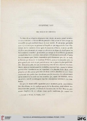 Chapitre XXV: Des objets en cheveux