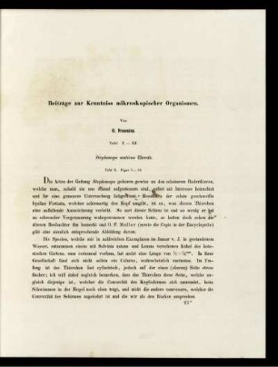 Beiträge zur Kenntnis mikroskopischer Organismen.
