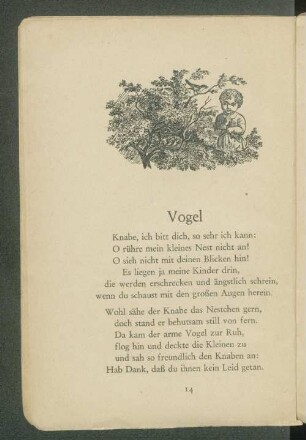 Vogel