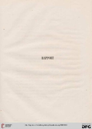 Rapport