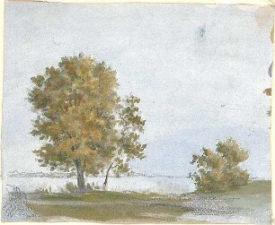 Neureuther, Lorenz; Landschaftskizzen - Bäume (Ansicht)