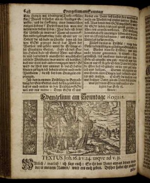 Evangelium am Sonntage Rogate.