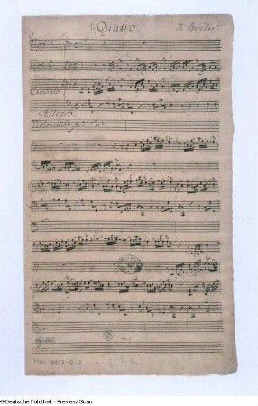 Quartett F-Dur für 2 Violinen, Violoncello und Cembalo : Quartett F-Dur für 2 Violinen, Violoncello und Cembalo. 1. Satz Allegro, 1. Notenseite der Partitur