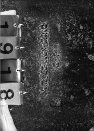 Grabstein 1918 [Hahn S. 116 Grab-Nr. 2804]: Grabstein 1918 (Detailaufnahme 1) [Hahn S. 116 Grab-Nr. 2804]