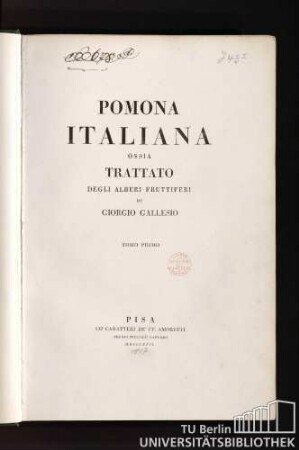 Tomo Primo: 1