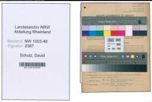 Entnazifizierung David Schulz , geb. 01.07.1918 (Arbeiter)