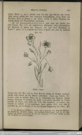 Fig. 117. Flachs, Linum