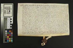 Heidesheim: Kaufbrief Heidesheim für Heinrich v. Stockheim