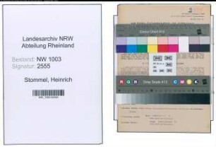 Entnazifizierung Heinrich Stommel , geb. 07.03.1876 (Verw.Angestellter)