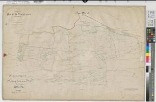 Beringhausen (Marsberg), Separation von Beringhausen, Bl.2 Brouillonkarte I Flur 12