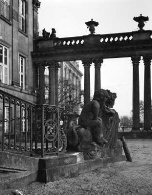 Sphinx : Sphinx. Stein (wohl um 1750). Potsdam, Stadtschloß