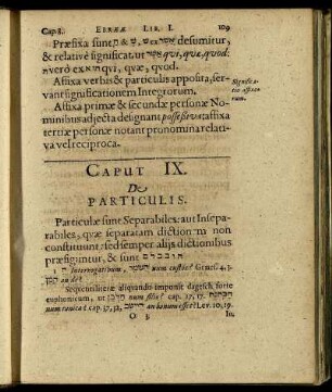 Caput IX. De Particulis.