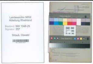 Entnazifizierung Oswald Straub , geb. 10.01.1896 (Kaufmann)