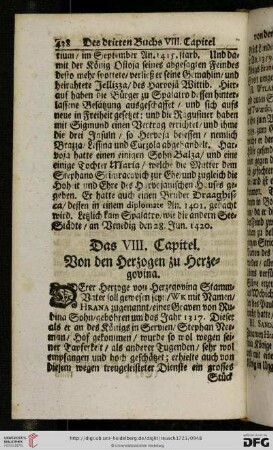 Das VIII. Capitel