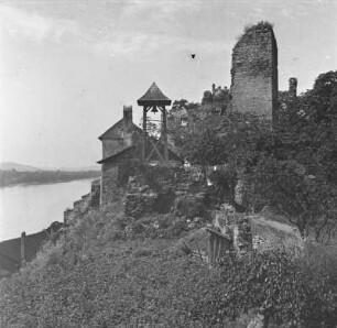 Burgruine : Die Burgruine Weitenegg.