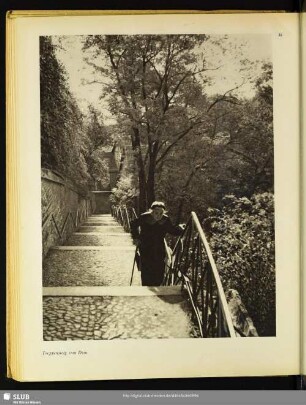 Treppensteig zum Dom