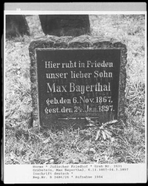 Grabstein des Max Bayerthal (gestorben 1897.01.24)