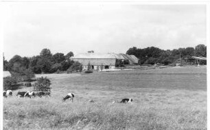Schöpstal-Girbigsdorf. Ehem. Gut Rubel (Nr. 85), zu dem eine Windmühle gehörte