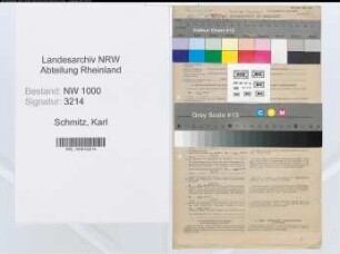 Entnazifizierung Karl Schmitz, geb. 25.10.1899 (Angest.)
