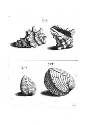 373. - 375.