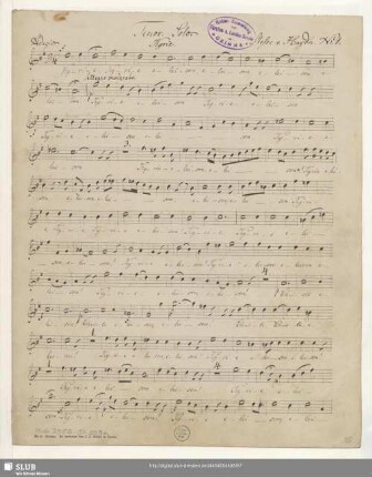 Tenor. Solo.