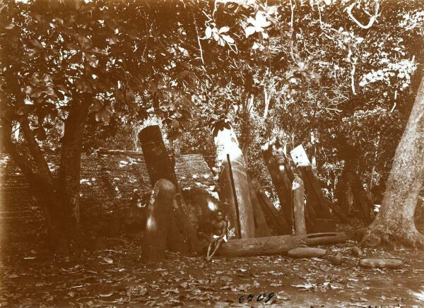 "Tambours sur la piste de danse. Malekula".